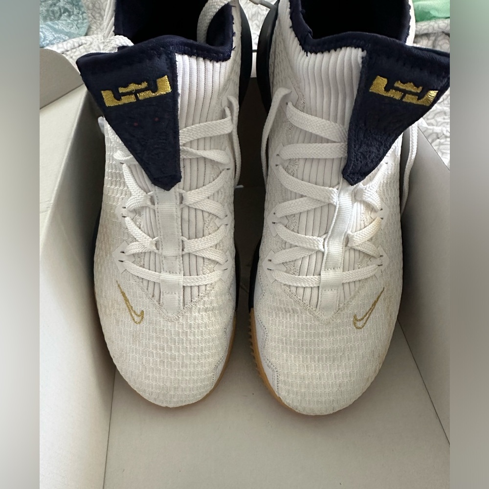 Men’s Lebron XVI Low